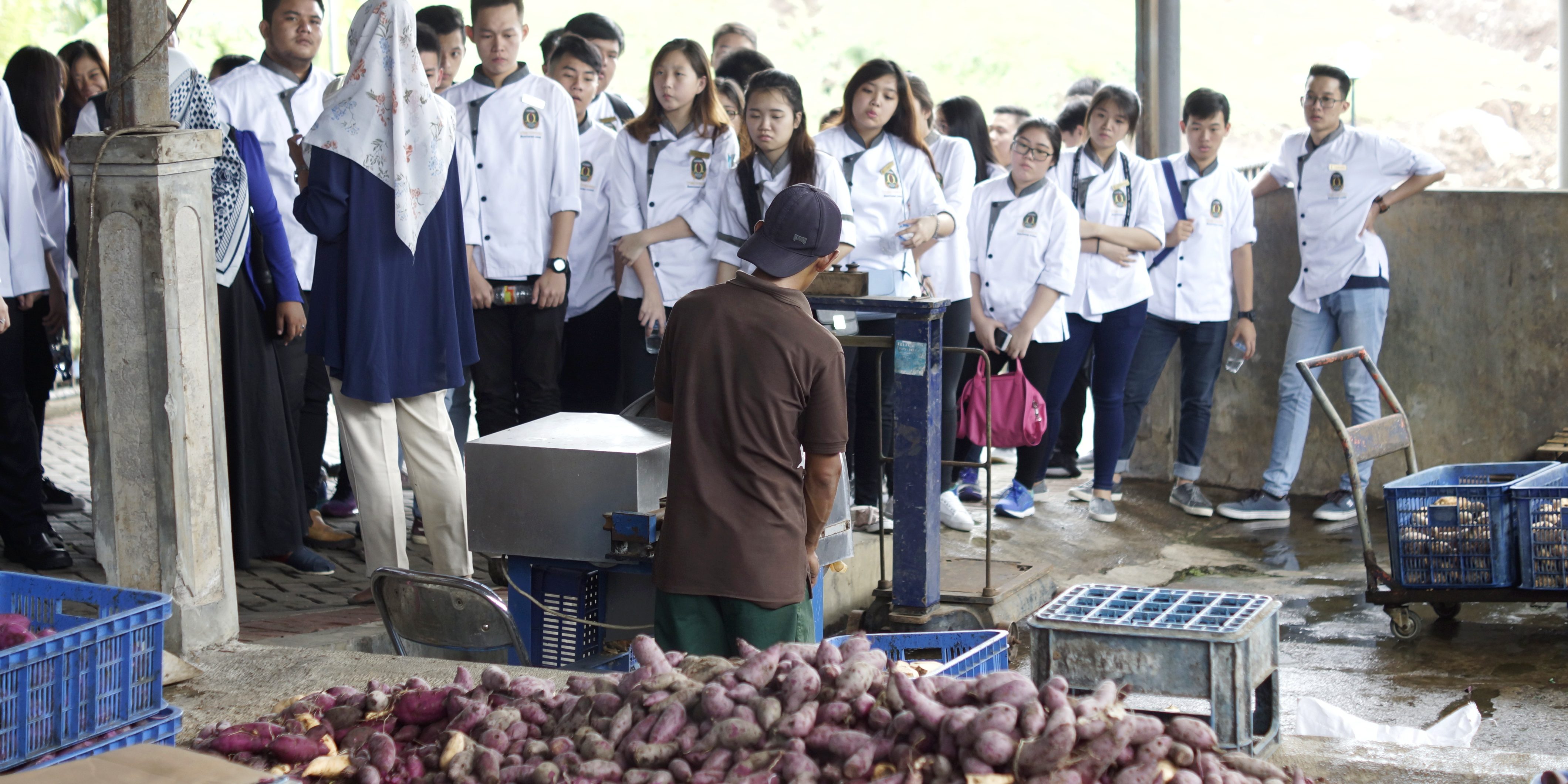 OTTIMMO Factory Visit Factory Visit