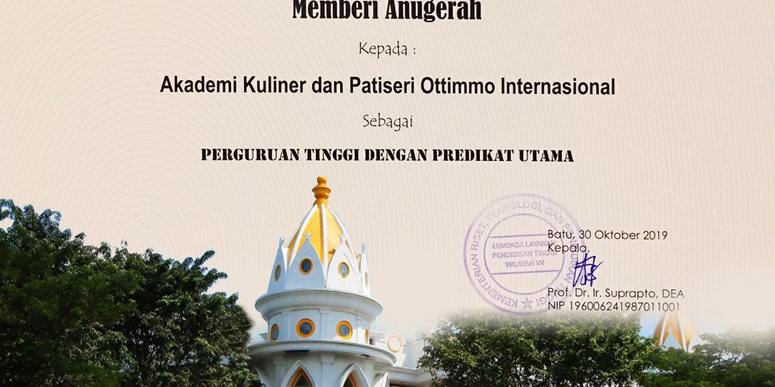 OTTIMMO Is A Flagship University flagship university