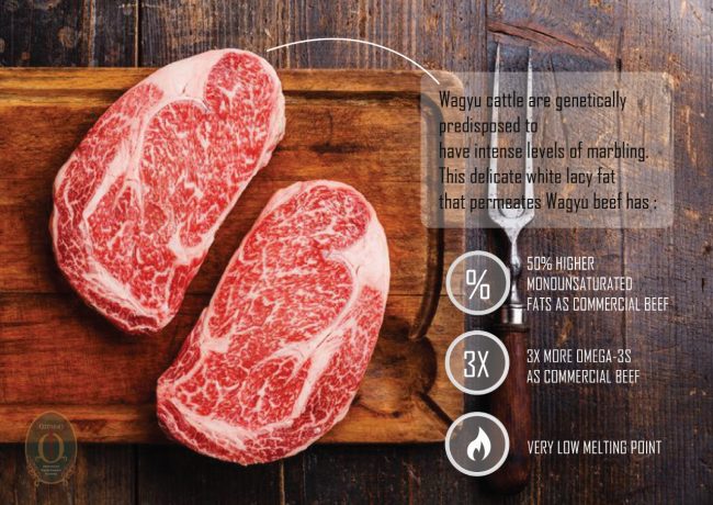 wagyu for health Wagyu beef