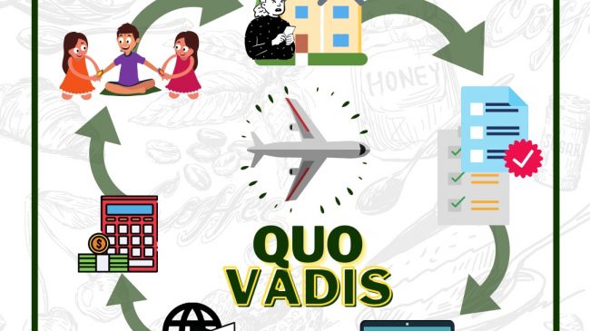 OTTIMMO Internship