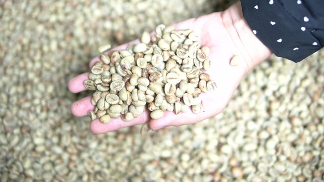 Coffee beans