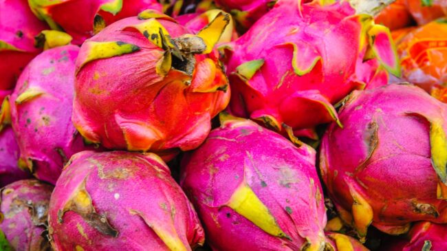 Recyling Waste Food, Dragon Fruit Skin's Meatballs